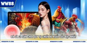 Đá Gà C1 Sân Chơi Quy Tụ Chiến Kê Xuất Sắc Bậc Nhất